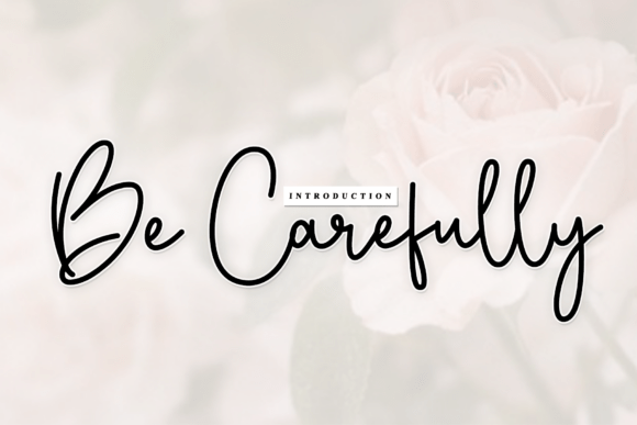 Be Carefully: A Script Font for Refined Web Design