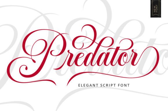 Predator Script Font: A Maker’s Touch for Elegant Design